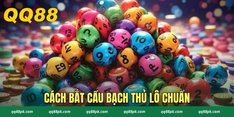 Cách Bắt Bạch Thủ Lô Chuẩn Chỉnh 100% Cho Người Mới